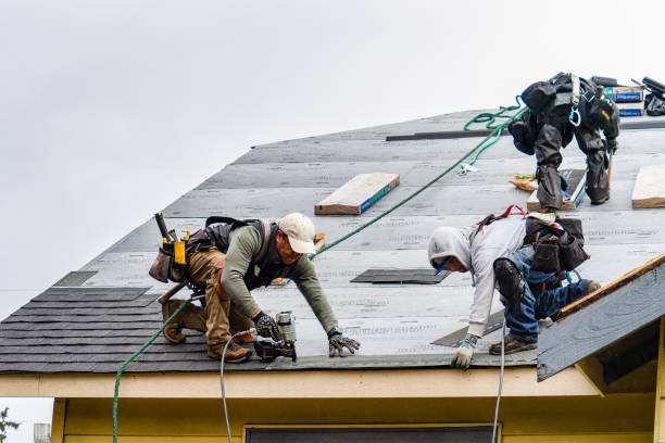 Professional Roofing technician working in Hager City, WI